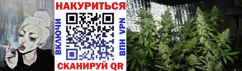 Галлюциногенные грибы Калач
