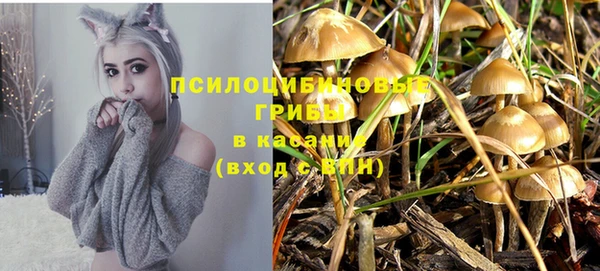 стафф Инсар