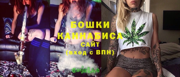 тгк Иннополис