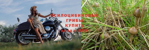 тгк Иннополис