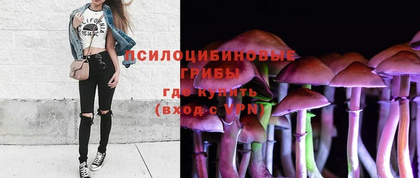 тгк Иннополис