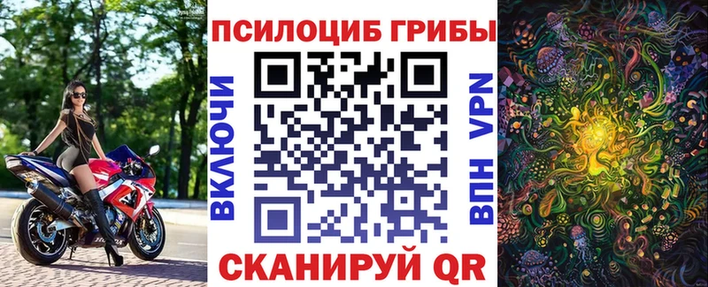 Купить где  Калач  Псилоцибиновые грибы прущие грибы 